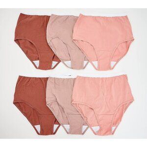 Breezies Original Cotton Brief Panties 6-Pack Tonal Size 13 A632206 NEW